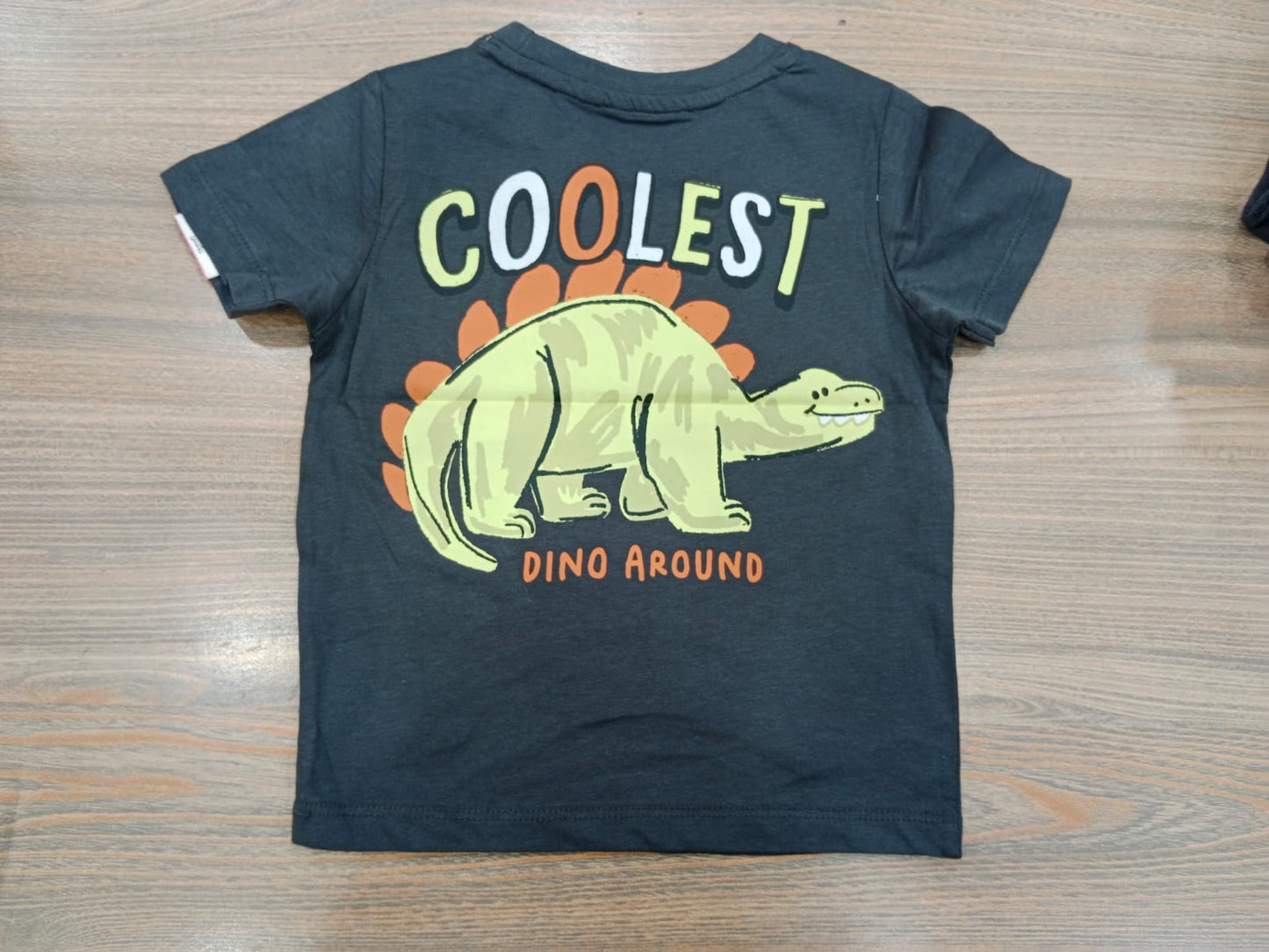 Boys "Coolest Dino Around" Graphic T-Shirt - Dark Grey